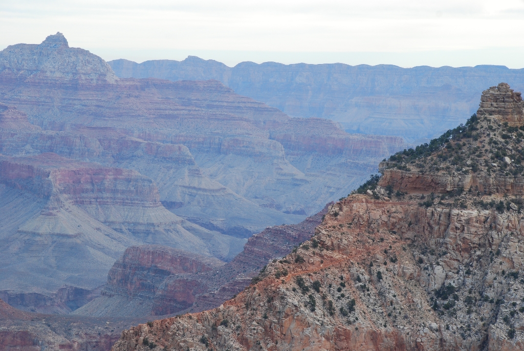 DSC_1579.JPG